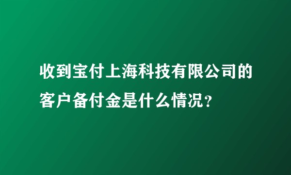 收到宝付上海科技有限公司的客户备付金是什么情况？