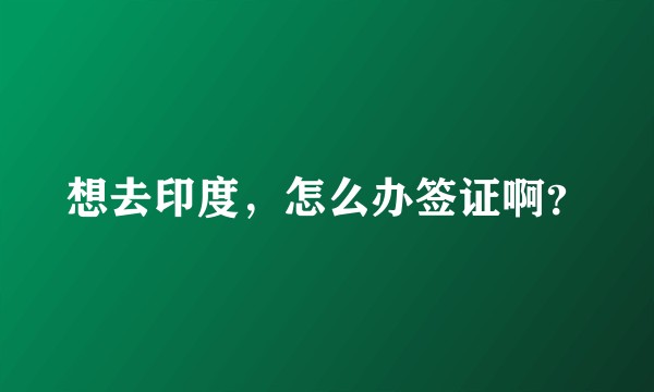 想去印度，怎么办签证啊？