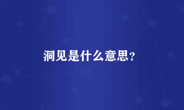 洞见是什么意思?