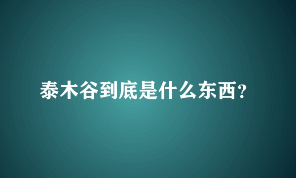 泰木谷到底是什么东西?