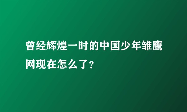 曾经辉煌一时的中国少年雏鹰网现在怎么了？