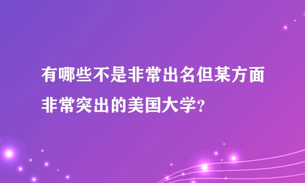 有哪些不是非常出名但某方面非常突出的美国大学?