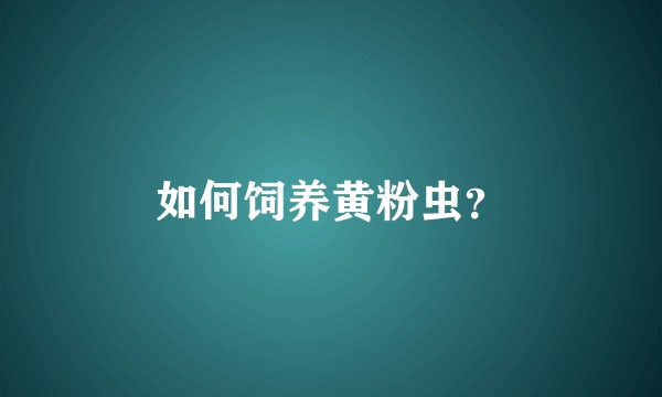 如何饲养黄粉虫？
