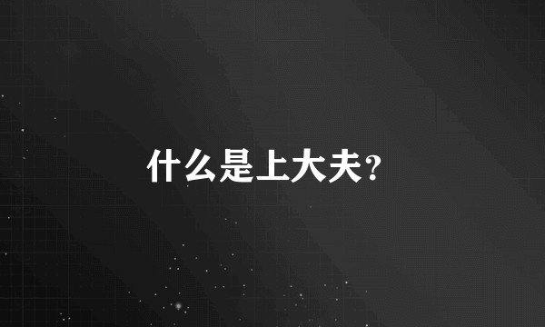什么是上大夫？
