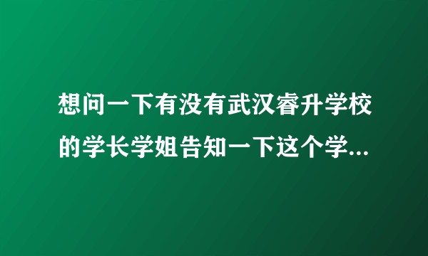 想问一下有没有武汉睿升学校的学长学姐告知一下这个学校怎么样，老师负责嘛（才去的这个学校报名的）？
