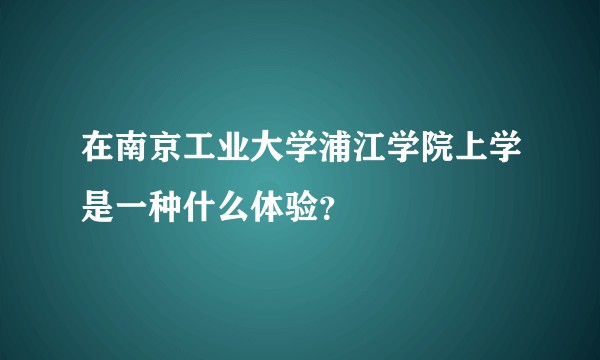 在南京工业大学浦江学院上学是一种什么体验？