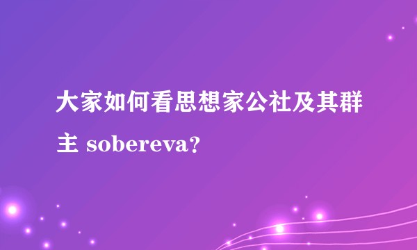 大家如何看思想家公社及其群主 sobereva？