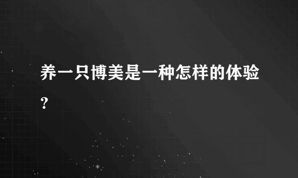 养一只博美是一种怎样的体验？