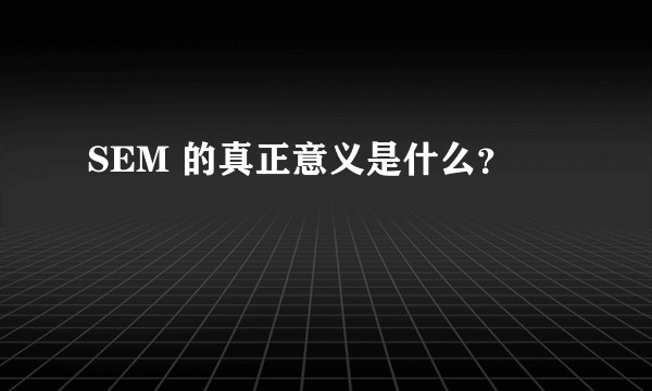 SEM 的真正意义是什么？