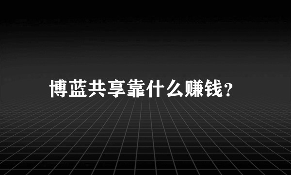 博蓝共享靠什么赚钱？