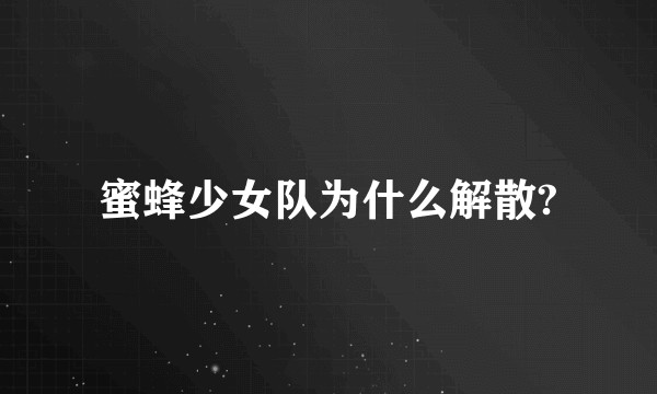 蜜蜂少女队为什么解散?