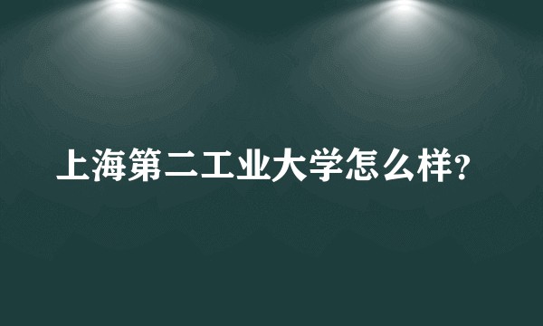 上海第二工业大学怎么样?
