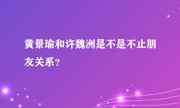 黄景瑜和许魏洲是不是不止朋友关系？