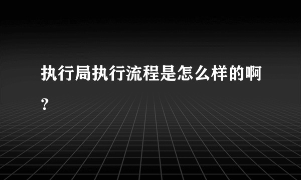 执行局执行流程是怎么样的啊？