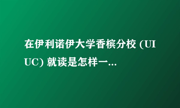 在伊利诺伊大学香槟分校 (UIUC) 就读是怎样一番体验？