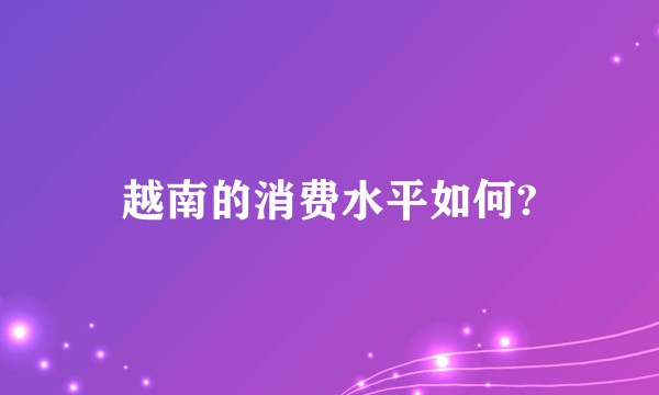 越南的消费水平如何?