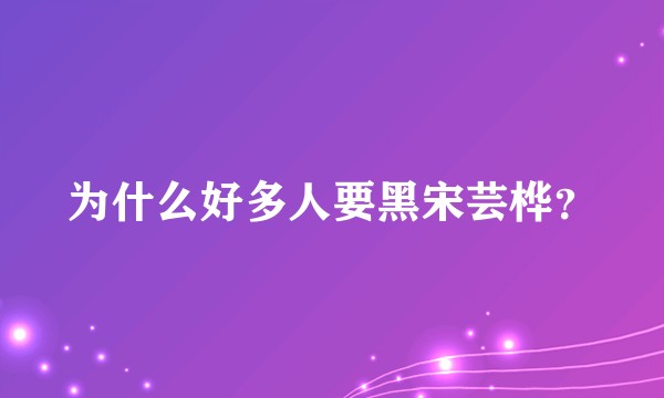 为什么好多人要黑宋芸桦？