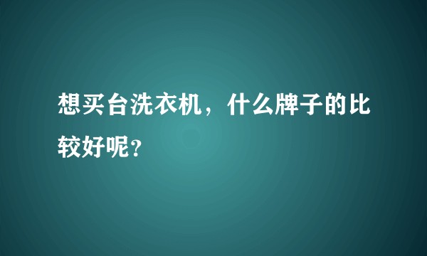 想买台洗衣机，什么牌子的比较好呢？