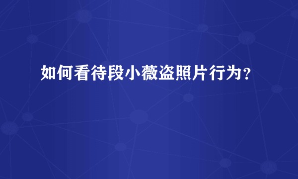 如何看待段小薇盗照片行为？