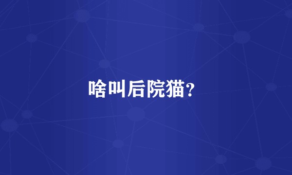啥叫后院猫？