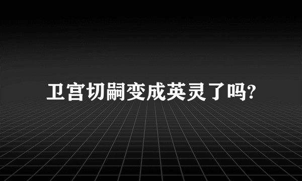 卫宫切嗣变成英灵了吗?