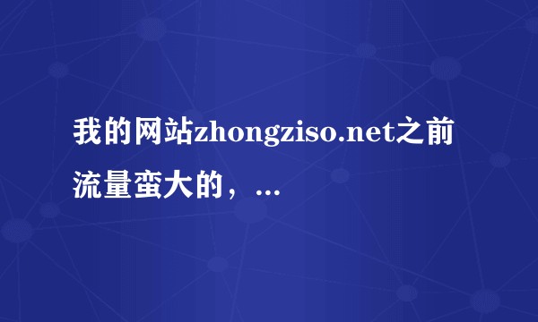 我的网站zhongziso.net之前流量蛮大的，百度大更新后流量少很多，请教各位大神分析一下?