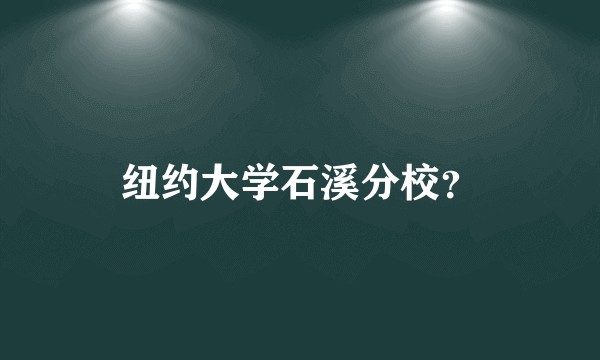 纽约大学石溪分校？