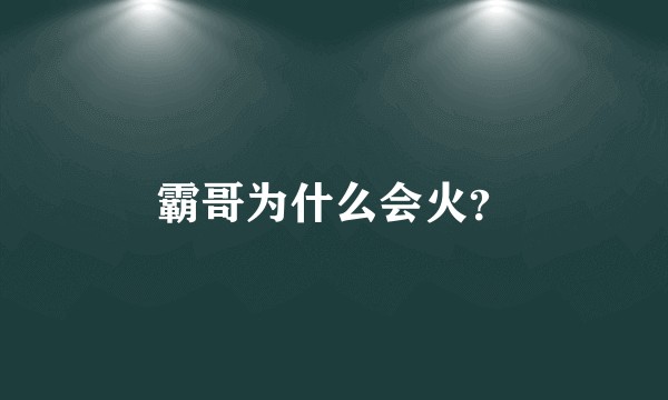 霸哥为什么会火？