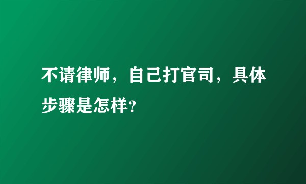 不请律师，自己打官司，具体步骤是怎样？