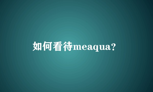 如何看待meaqua？