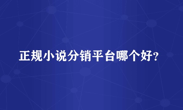 正规小说分销平台哪个好？