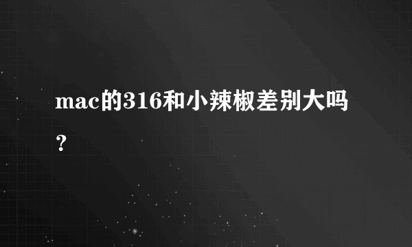 mac的316和小辣椒差别大吗?