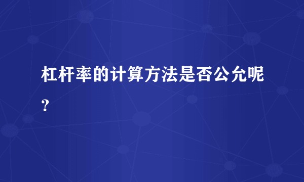 杠杆率的计算方法是否公允呢?