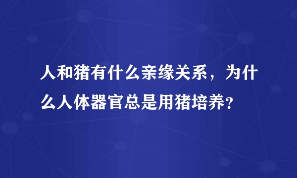 人和猪有什么亲缘关系，为什么人体器官总是用猪培养？