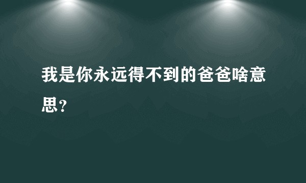 我是你永远得不到的爸爸啥意思？