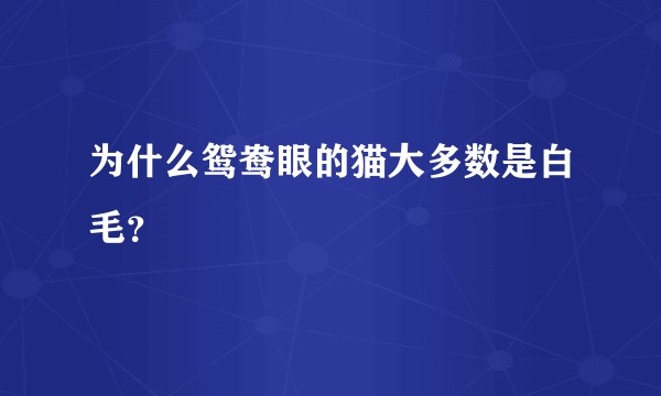 为什么鸳鸯眼的猫大多数是白毛？