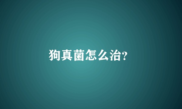 狗真菌怎么治?