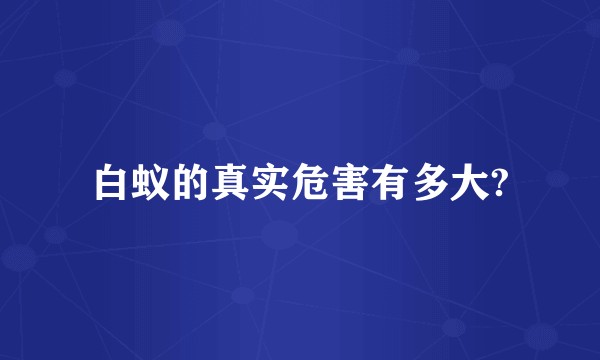 白蚁的真实危害有多大?