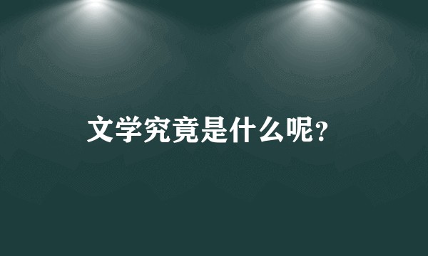文学究竟是什么呢?