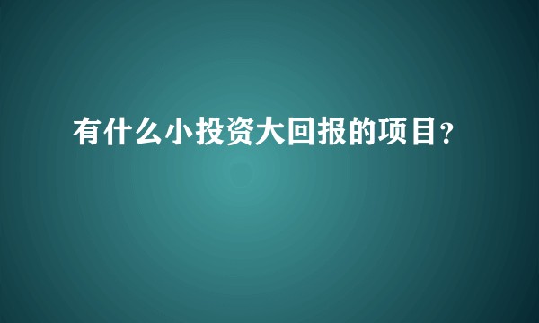 有什么小投资大回报的项目？