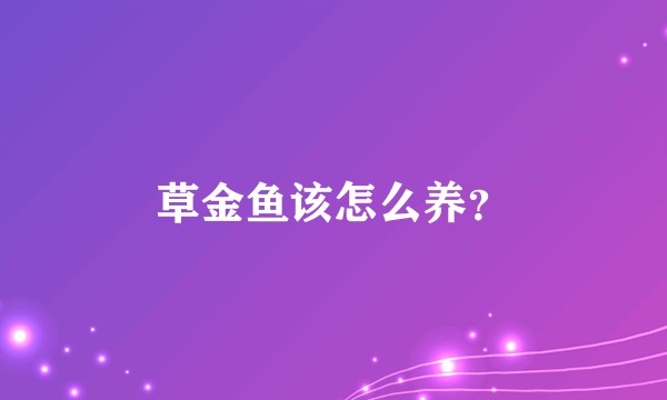 草金鱼该怎么养？