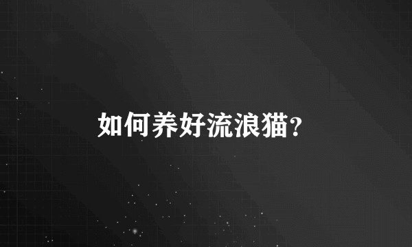 如何养好流浪猫？