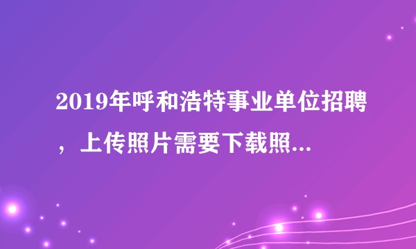 2019年呼和浩特事业单位招聘，上传照片需要下载照片处理工具（智韬科技照片处理工具）这个工具从哪下载？