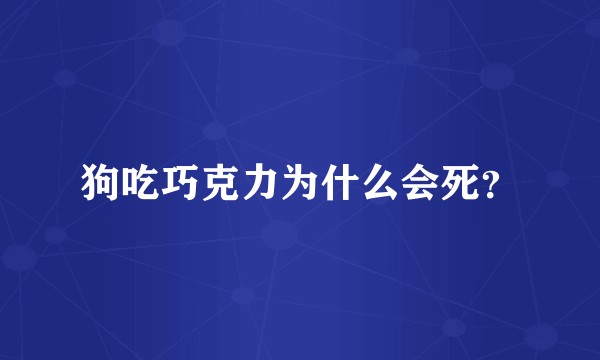 狗吃巧克力为什么会死？