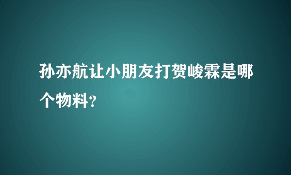 孙亦航让小朋友打贺峻霖是哪个物料？