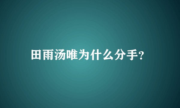 田雨汤唯为什么分手?