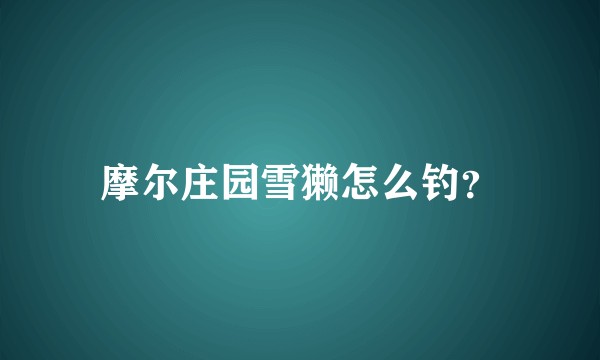 摩尔庄园雪獭怎么钓？