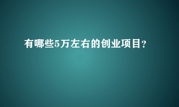 有哪些5万左右的创业项目？