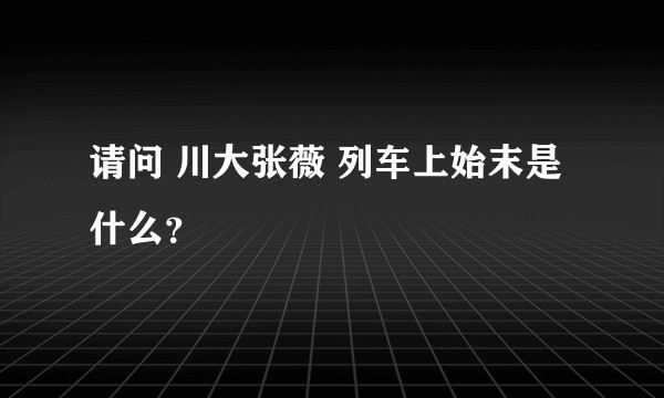 请问 川大张薇 列车上始末是什么？