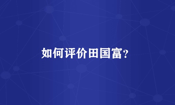 如何评价田国富？